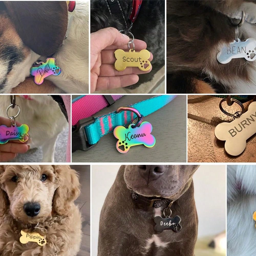 Bone Dog Tag: Hollow Paw, Engraved Pet ID, Stainless Steel