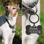 Bone Dog Tag: Hollow Paw, Engraved Pet ID, Stainless Steel