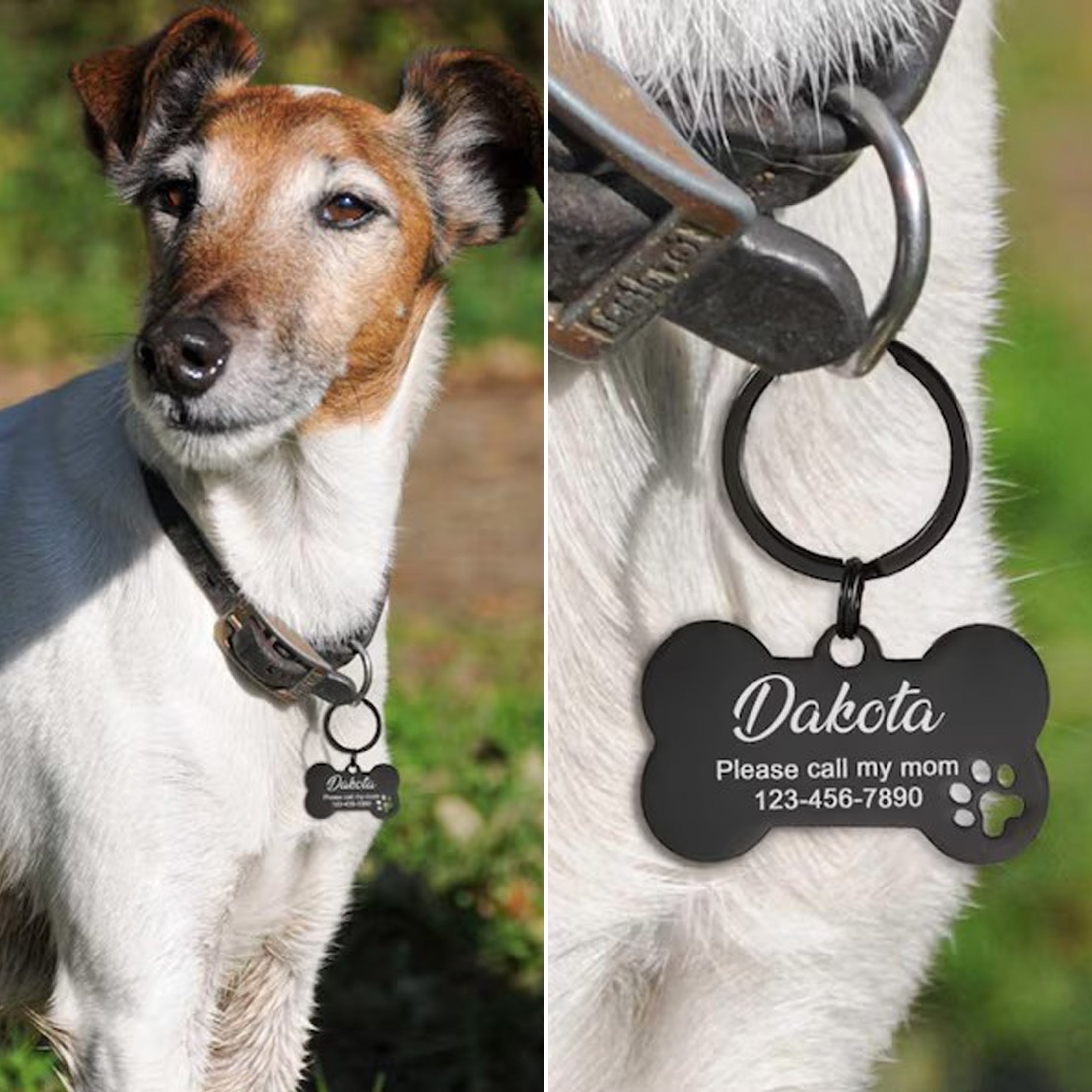 Bone Dog Tag: Hollow Paw, Engraved Pet ID, Stainless Steel