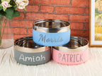 Personalized Stainless Steel Pet Bowl: Custom Cat & Dog Food Water Feeder