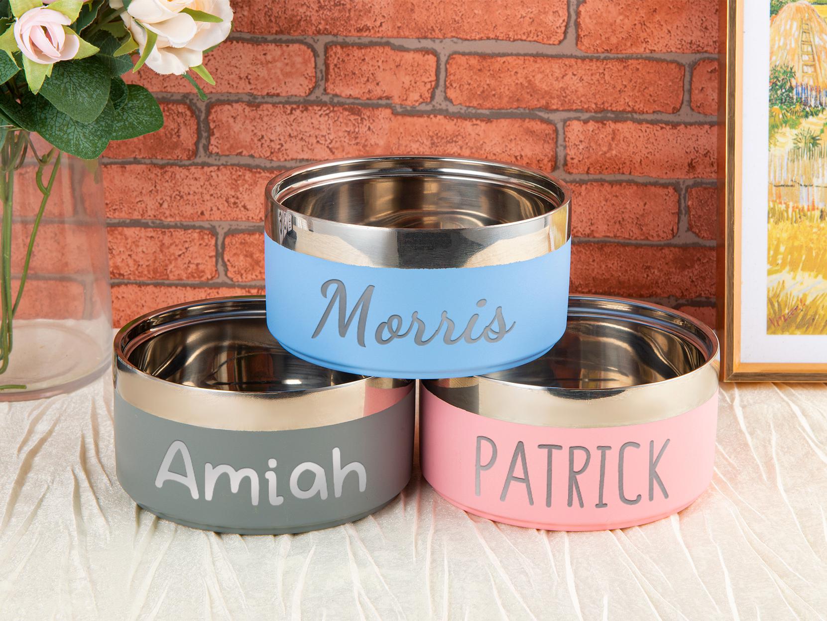 Personalized Stainless Steel Pet Bowl: Custom Cat & Dog Food Water Feeder