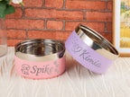 Engraved Stainless Steel Pet Bowl: Custom Insulated Dog & Cat Food and Water Bowl