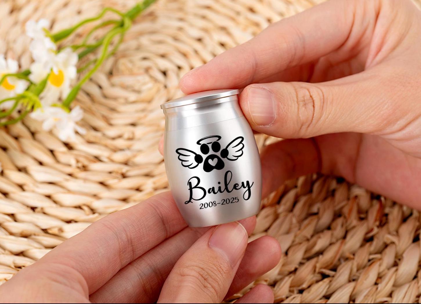 Engraved Pet Cremation Urn: Stainless Steel Mini Ashes Memorial